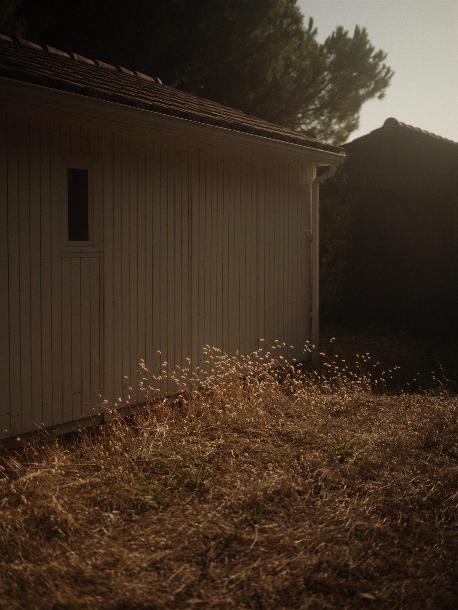 An outbuilding standing behind dry grass